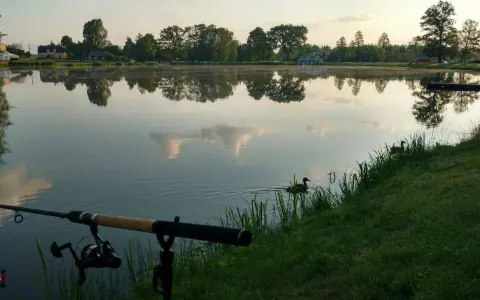 Spokojny poranek nad jeziorem Przeczyckim. Wędka czeka na branie, a kaczki pływają po tafli wody.