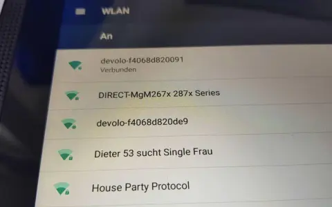 WLAN-Liste mit verschiedenen Netzwerkname Beispiel: "devolo-f4068d820091", "DIRECT-MgM267x 287x Series", "Dieter 53 sucht Single Frau" und "House Party Protocol".