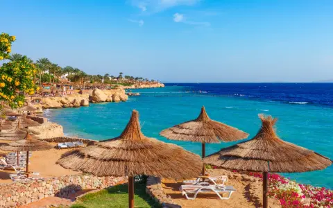 Piękna plaża w Sharm El Sheikh z turkusową wodą i palmami. Czy w Sharm el Sheikh jest bezpiecznie? Tak, to popularny kurort turystyczny.