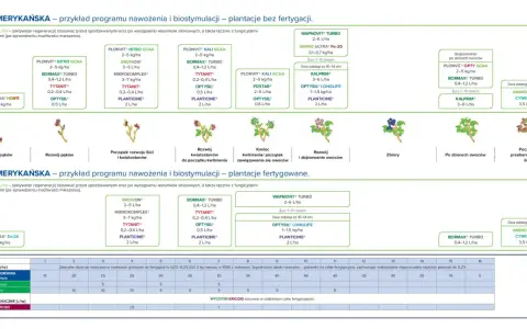 Program nawożenia borówek amerykańskich: kiedy nawozić borówki, od pękania pąków do zbiorów i po nich.