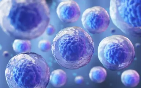 Células madre: Avances que curan y el futuro de la medicina regenerativa