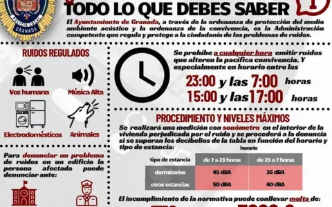 Infografía sobre problemas de ruidos en Granada. Detalla los decibelios permitidos según la hora y estancia, y las multas por incumplimiento.