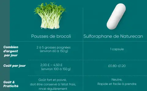 Pousses de brocoli et capsule de sulforaphane. Découvrez les graines germées brocoli bienfaits, coût et praticité comparés.