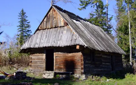 Drewniana pasterka w lesie, z otwartymi drzwiami i kamiennym fundamentem. Otoczona drzewami i zieloną trawą.