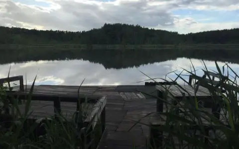 Jezioro Bolechowskie: piękno natury i tajemnice wędkarstwa w Puszczy Zielonce