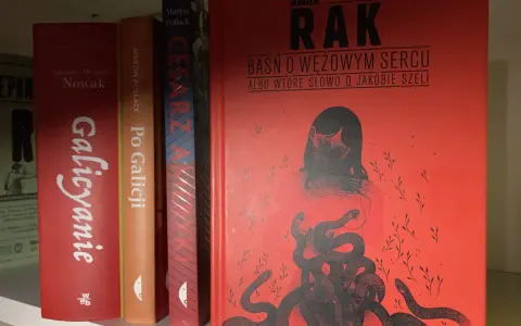 Okładka książki "Baśń o wężowym sercu" z wężami i sylwetką kobiety na czerwonym tle.