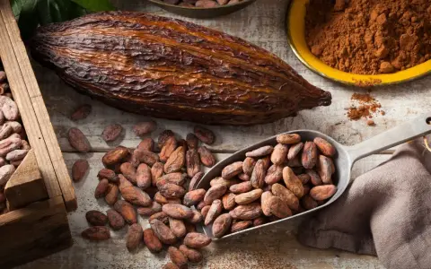 Kakao gesund: Kakaobohnen in Holzkiste, auf Löffel und verstreut, daneben eine Kakaofrucht und Kakaopulver.