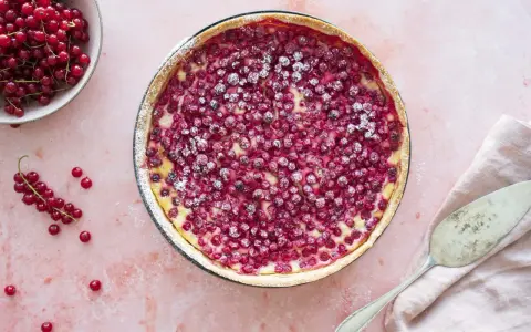 Saftiger Johannisbeerkuchen mit Schmand in einer Springform, bestäubt mit Puderzucker. Daneben eine Schale voller roter Johannisbeeren.