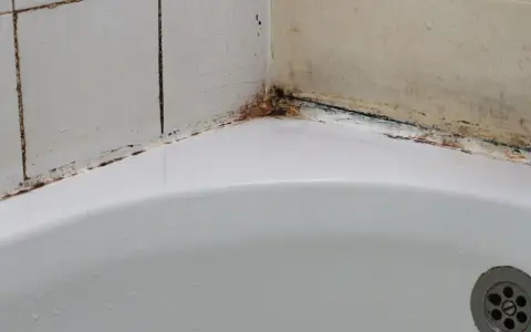 Coin de baignoire avec joints noircis et traces de moisissure salle de bain. Un coin de douche qui a besoin d'un bon nettoyage.