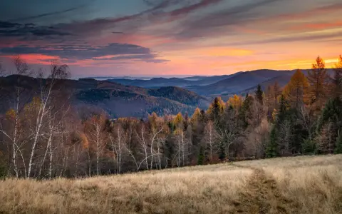 Zachód słońca nad Beskidem Małym. Jesienne drzewa i trawy na pierwszym planie, góry w oddali.