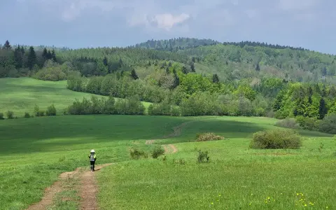 Osoba z plecakiem idzie ścieżką przez zieloną łąkę w Beskidach.