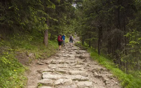 Kamienista ścieżka w lesie, turyści wędrujący przez dolinę Jaworzynki.