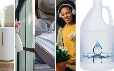 Humidificateur, nettoyage de vitres, repassage et arrosage de plantes : tous ces usages bénéficient de l'eau déminéralisée pour un résultat optimal.