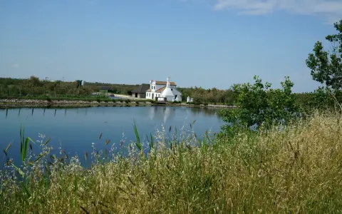 Biały dom z czerwonym dachem nad spokojnym pad rzeka, otoczony zielenią i wysoką trawą.