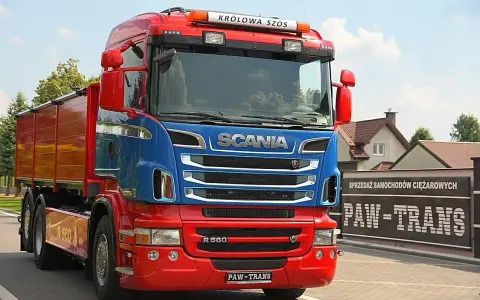 Czerwono-niebieska wywrotka do zboża Scania R560 z napisem "Królowa Szos" gotowa do pracy.