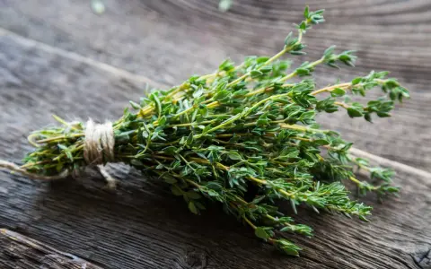 Ein Bündel frischer Thymian, eine bekannte Heilpflanze gegen Husten, liegt auf rustikalem Holz.