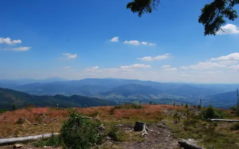 Widok na malownicze **beskidy szczyty** w słoneczny dzień. Na pierwszym planie trawa, pnie drzew i krzewy. W oddali widać kolejne pasma górskie.