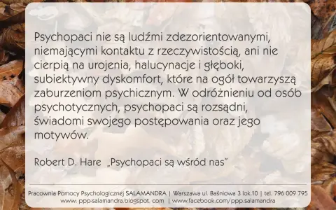 Psychopaci nie są zdezorientowani ani nie mają kontaktu z rzeczywistością. W odróżnieniu od socjopatów, są świadomi swoich działań.