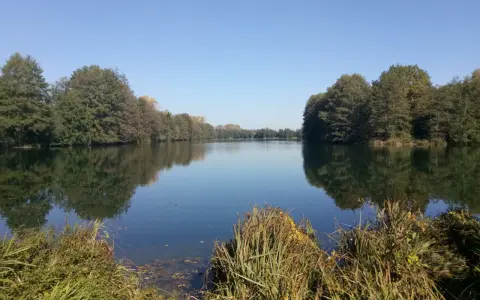 Ein ruhiger Baarer Weiher im Herbst, umgeben von Bäumen, deren Spiegelung sich im klaren Wasser bricht.