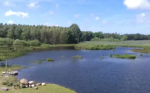 Spokojne łowisko Stojkowo otoczone lasem, z łódką przy brzegu i kamieniami.