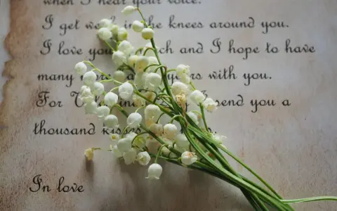 Mughetto su pergamena con parole d'amore, che ricordano le più belle poesie famose.