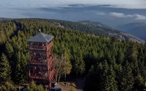 Wieża widokowa na Orlicy szczyt, otoczona gęstym lasem świerkowym, góruje nad morzem mgieł i pagórków.