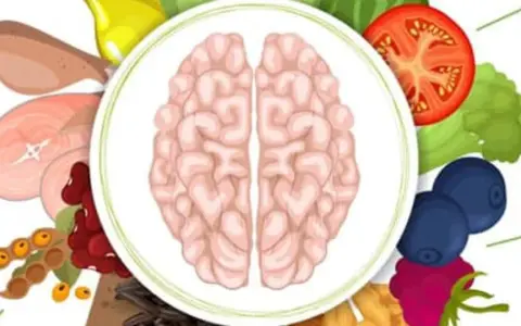 Dieta mind: mózg otoczony zdrowymi produktami jak jagody, pomidor, brokuły, fasola i mięso.