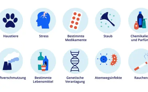 Auslöser für den Zustand bei Asthma: Haustiere, Stress, Medikamente, Staub, Chemikalien, Luftverschmutzung, Lebensmittel, genetische Veranlagung, Infekte, Rauchen.