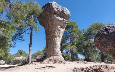 Majestuoso hongo de roca en el bosque encantado de Cuenca, rodeado de pinos y bajo un cielo azul intenso.