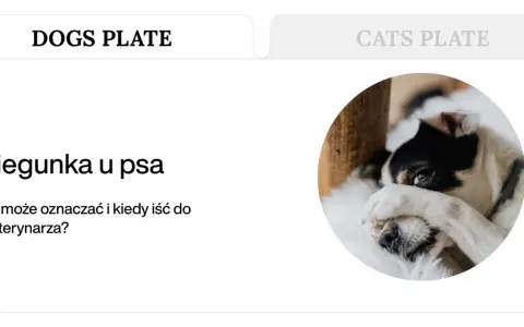 Chory piesek z zasłoniętymi oczami. Artykuł o biegunce i wymiotach u psa.