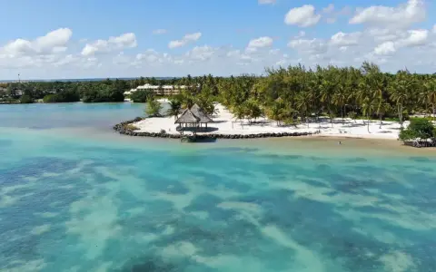Rajska plaża z palmami i turkusową wodą. Czy Mauritius, warto? Zdecydowanie tak!