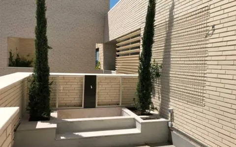 Terraza moderna con cipreses y un retranqueo de fachada que crea un espacio íntimo.