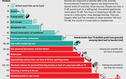 Graphique comparant les niveaux sonores quotidiens, de la respiration (10 dB) à un murmure doux (30 dB), jusqu'aux sirènes et pétards.