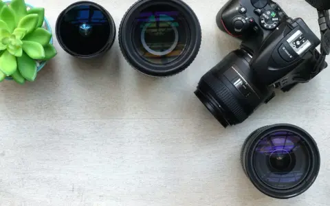 Aparat fotograficzny z obiektywami, w tym jeden zmiennoogniskowy to zoom, i zielona roślina na drewnianym tle.