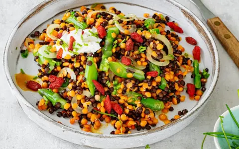 Bunter Linsensalat mit Spargel, Goji-Beeren und einem Klecks Joghurt. Ein köstliches Gericht, das zeigt, wie vielfältig Linsen Rezepte sein können.
