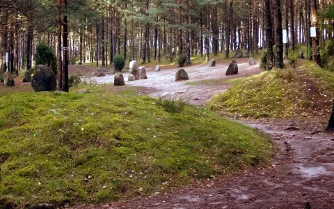 Kamienne kręgi Kaszuby, pradawne głazy w lesie, świadkowie historii.