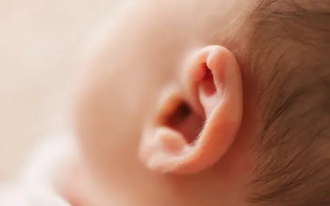 Delikatne ucho niemowlęcia, które może być dotknięte zapaleniem ucha zewnętrznego.