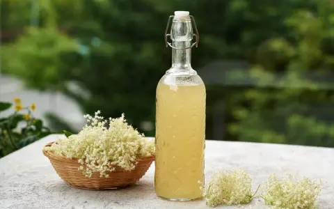 Syrop z kwiatu czarnego bzu: na co? Od przeziębienia po domowe SPA!