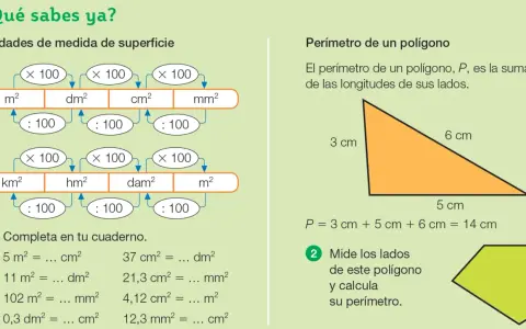 Diagrama de unidades de superficie y cálculo de perímetro. Muestra conversiones entre m², dm², cm², mm² y km², hm², dam², m². Un triángulo naranja con lados de 3, 5 y 6 cm.