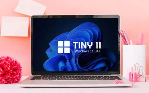 Laptop mit "TINY 11 Windows 11 Lite" auf dem Bildschirm, umgeben von rosa Büroartikeln und einer roten Blume.