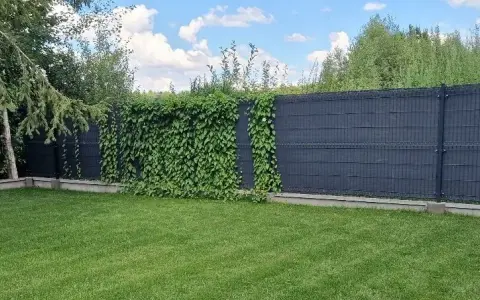 Skuteczne sposoby na zasłonięcie ogrodzenia panelowego w ogrodzie