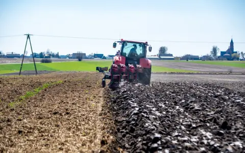 Ile za ar działki rolnej? Ceny i różnice w regionach w Polsce