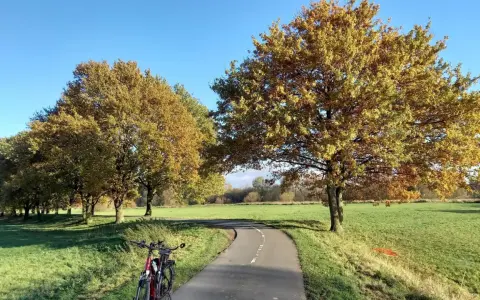 Fahrrad steht am Beginn einer asphaltierten Herford Route, gesäumt von Bäumen mit goldenem Herbstlaub.