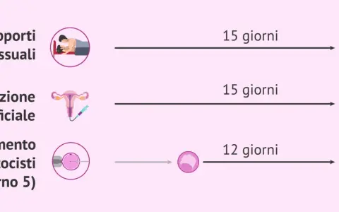 Quando fare il test di gravidanza: dopo 15 giorni da rapporti o inseminazione, 12 giorni dopo trasferimento blastocisti.