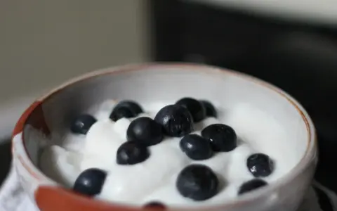 Schüssel mit cremigem Joghurt und Blaubeeren, perfekt für dein mandeljoghurt selber machen Projekt.