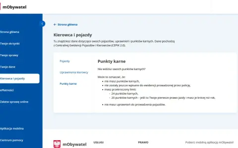 Sprawdź ile punktów karnych masz na swoim koncie kierowcy. Informacje z CEPIK 2.0.