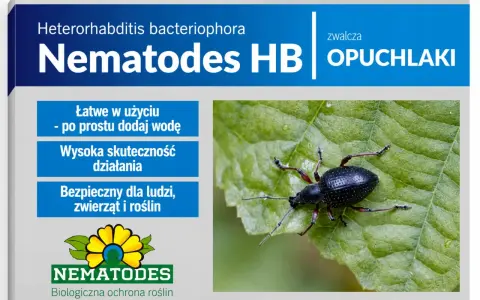 Nematodes HB zwalczają opuchlaki. Produkt jest łatwy w użyciu, skuteczny i bezpieczny dla ludzi, zwierząt i roślin.