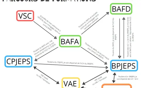 Schéma des parcours de formation : VSC, BAFA, BAFD, CPJEPS, BPJEPS, VAE.