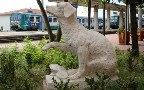 O psie, który jeździł koleją: Prawdziwa historia, wzruszająca lekcja
