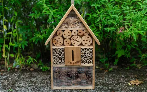 Casetta per insetti fai da te, un rifugio accogliente con legni forati, bambù e pigne, pronto ad ospitare piccoli amici del giardino.